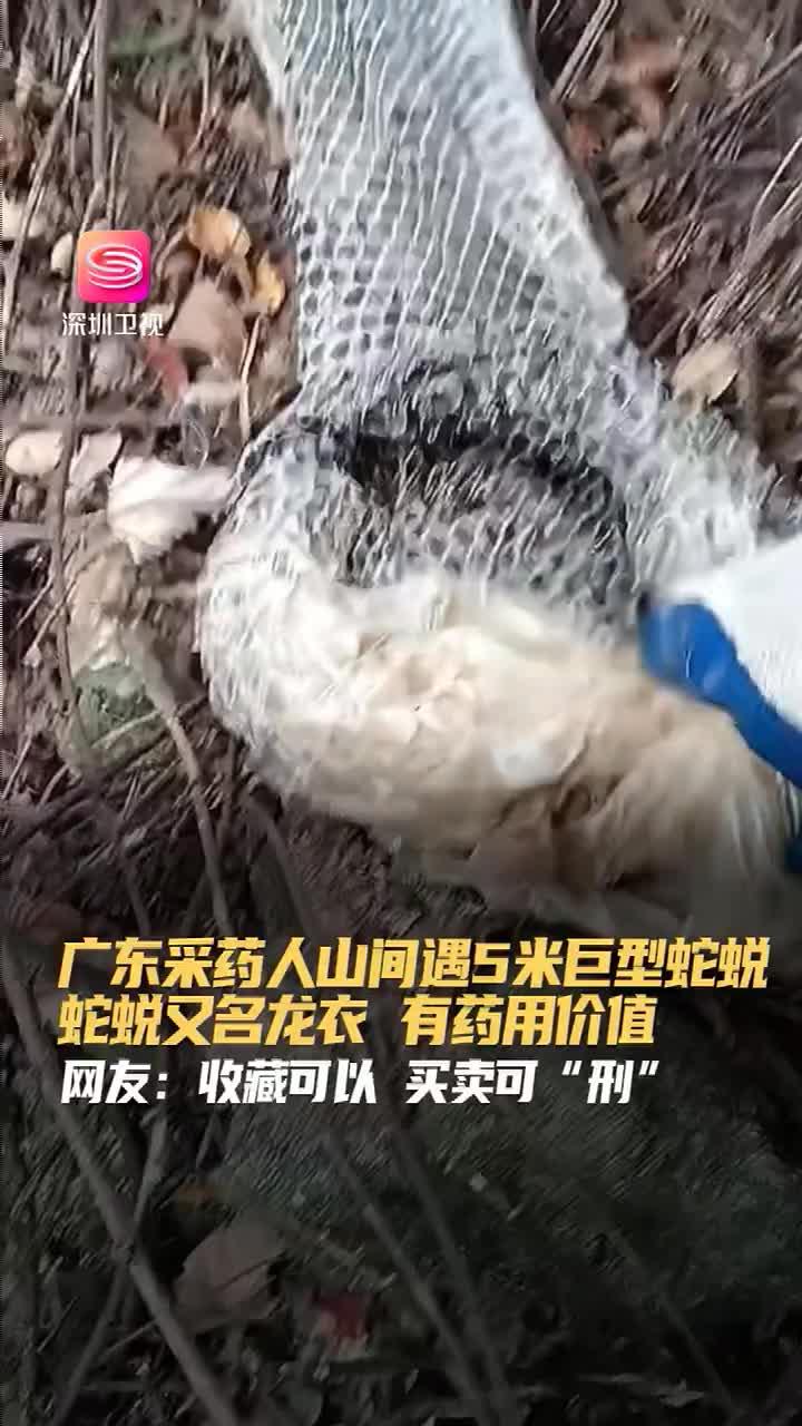 根植浙大科研，引領(lǐng)室內(nèi)健康——浙江冰蟲環(huán)?？萍及l(fā)展紀(jì)實(shí)